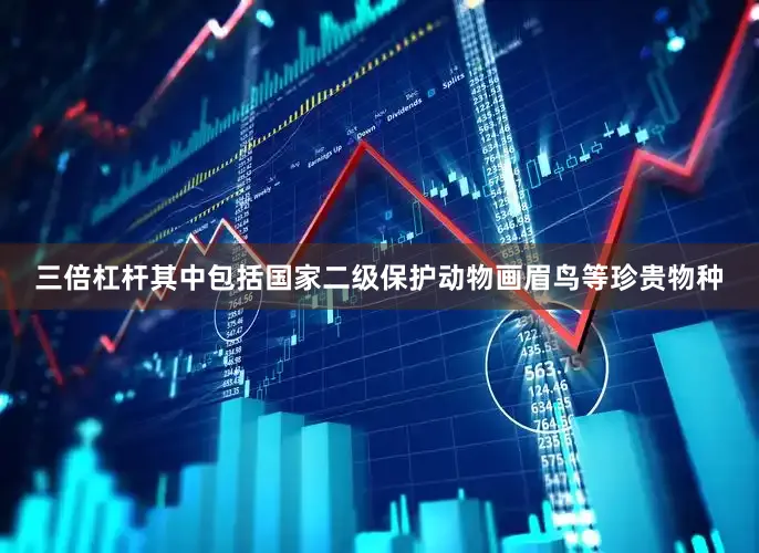三倍杠杆其中包括国家二级保护动物画眉鸟等珍贵物种