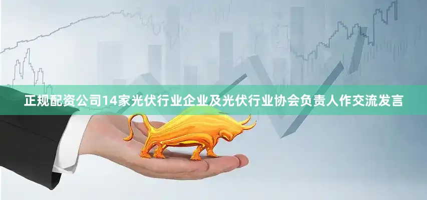 正规配资公司14家光伏行业企业及光伏行业协会负责人作交流发言