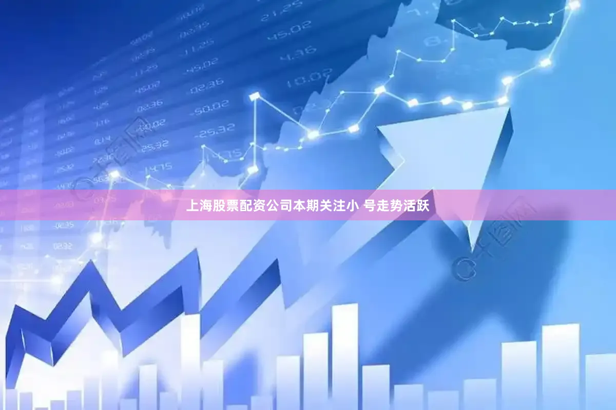 上海股票配资公司本期关注小 号走势活跃