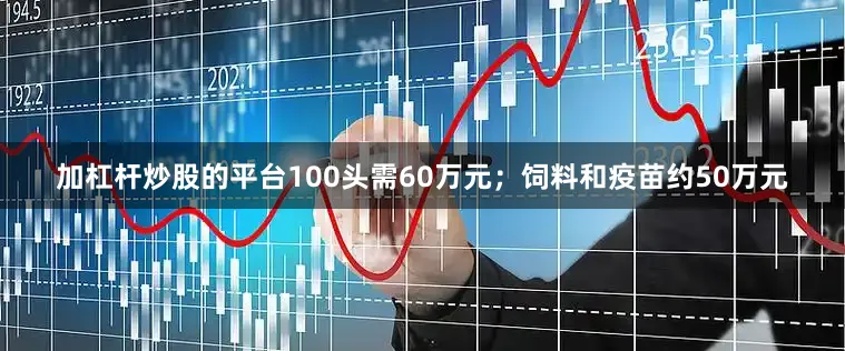 加杠杆炒股的平台100头需60万元；饲料和疫苗约50万元